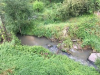 Descarga Rio Galinhas